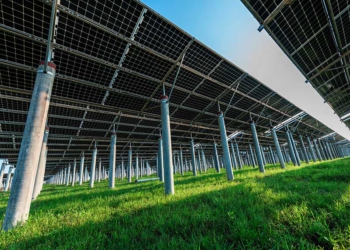 Ahgora, empresa catarinense de HR Tech, aderiu ao uso de energia solar