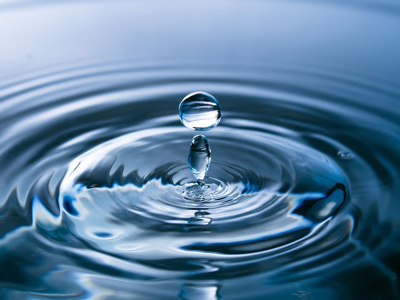 Água é fundamental para a vida na terra