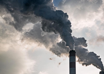 Descarbonização da Indústrias, por Rosana Santos