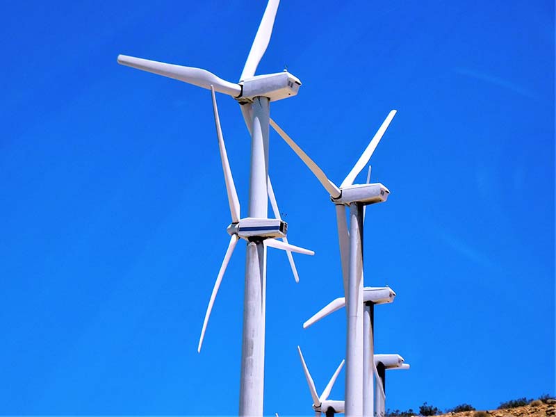 Neoenergia fecha contrato com a Ambev para fornecer energia renovável
